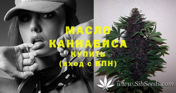 шишки Ельня