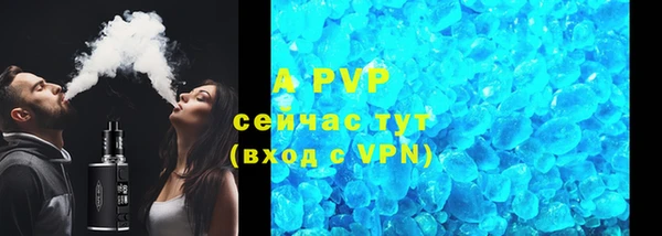 шишки Ельня