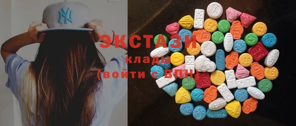 шишки Ельня