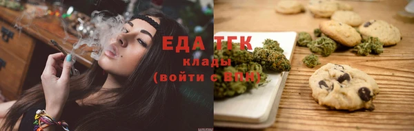 шишки Ельня