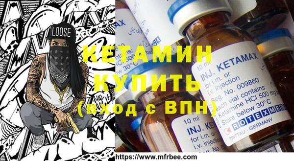 шишки Ельня