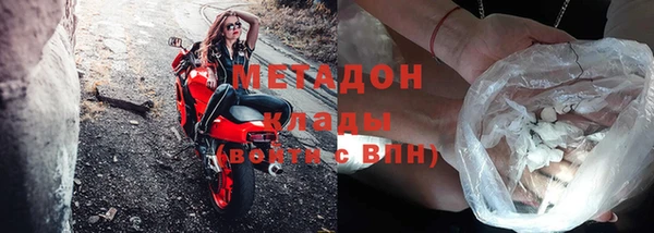 шишки Ельня
