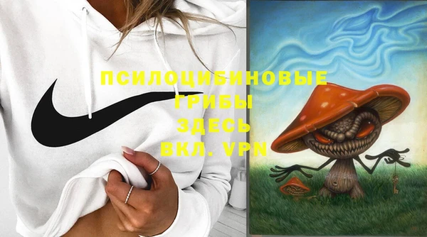 не бодяженный Елизово
