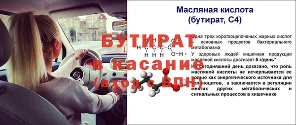 шишки Ельня
