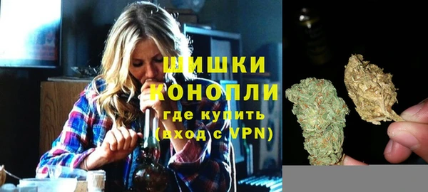 шишки Ельня