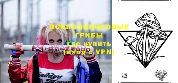 шишки Ельня