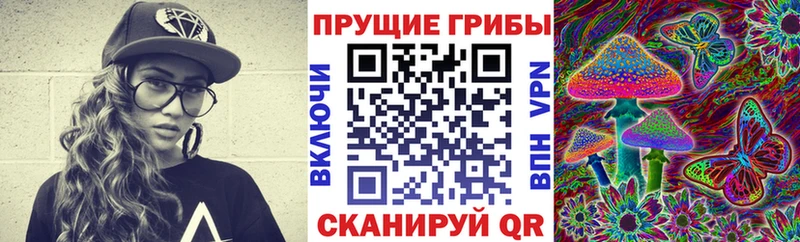 shop как зайти  MEGA ONION  Павловская  Псилоцибиновые грибы мухоморы 